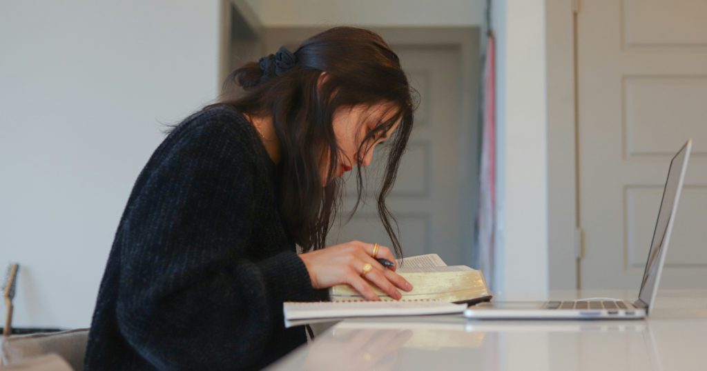 Smart Panda Tools - Transfer Melt Feature