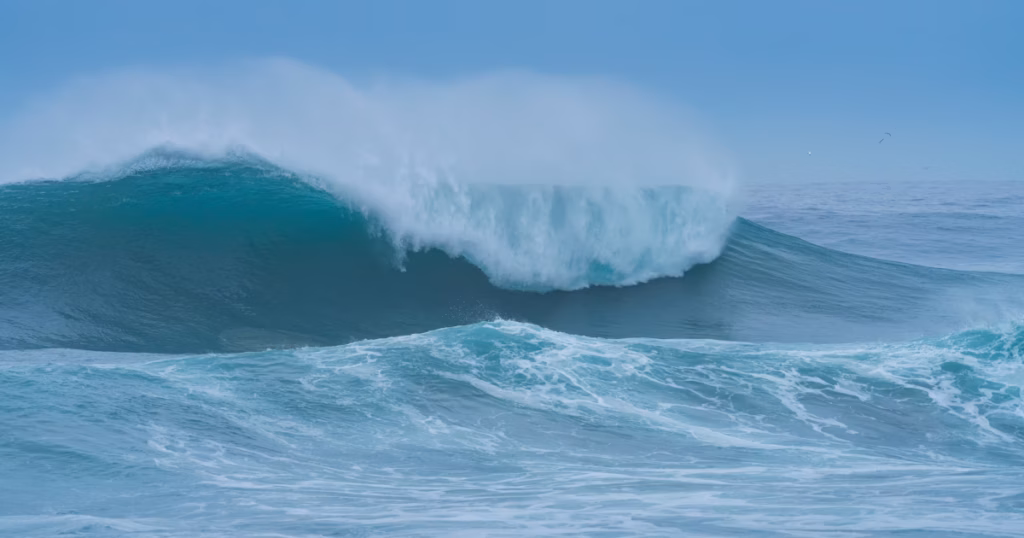 Smart Panda Tools - Surge Capacity Feature